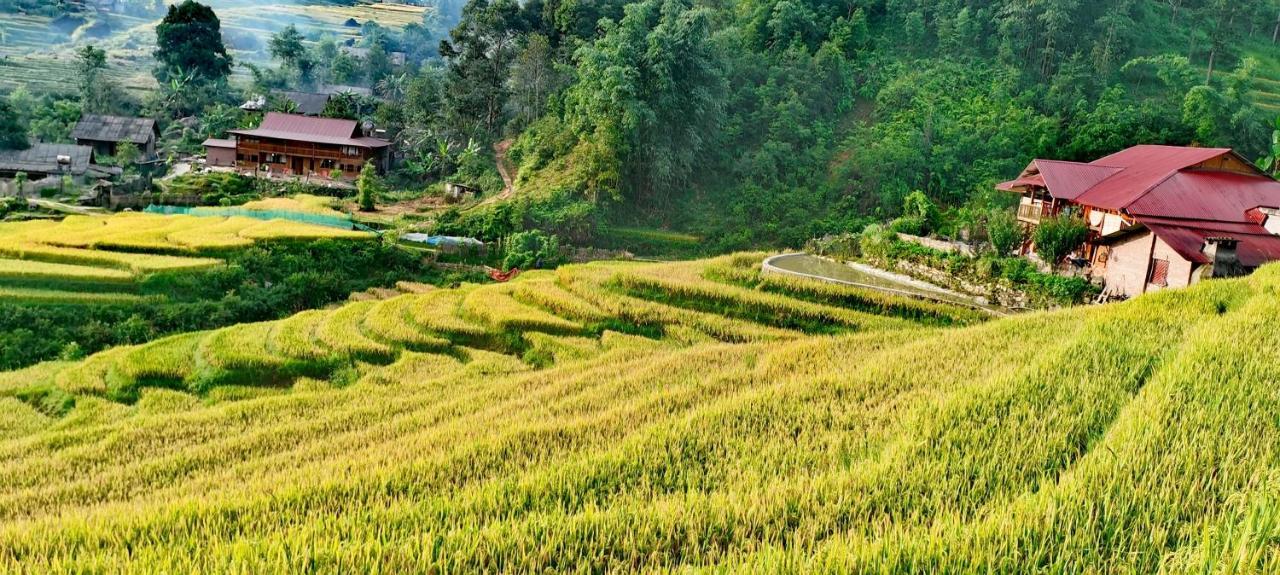 Madame View Homestay 사파 외부 사진