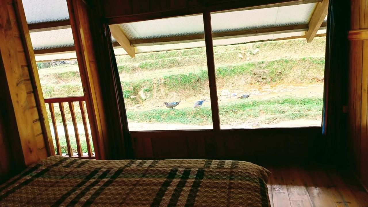 Madame View Homestay 사파 외부 사진